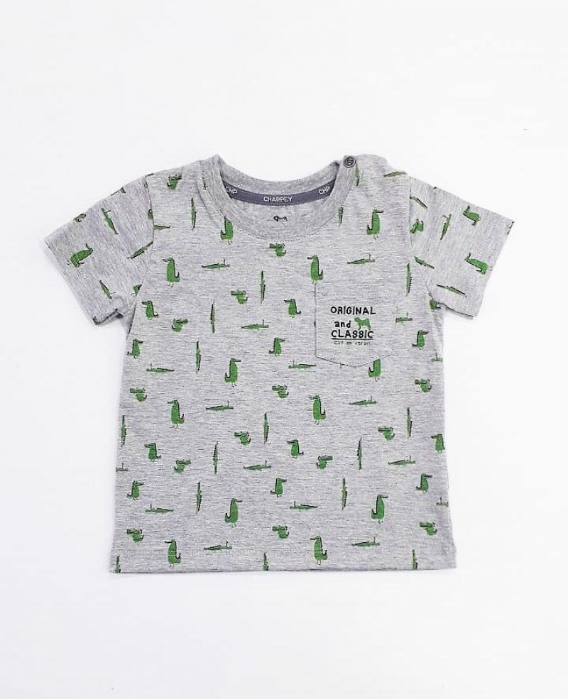 imagem CAMISETA M/MALHA/MC INFANTIL CHARPEY 28002