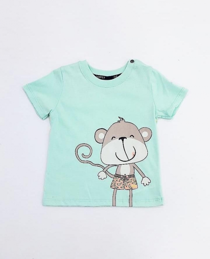 imagem CAMISETA M/MALHA/MC - 28018 INFANTIL CHARPEY